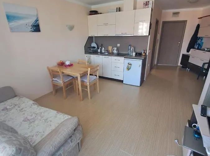 Sunny Plaza Apartment