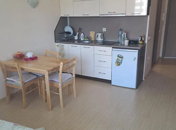 Sunny Plaza Apartment *