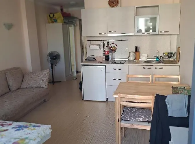 Sunny Plaza Apartment *