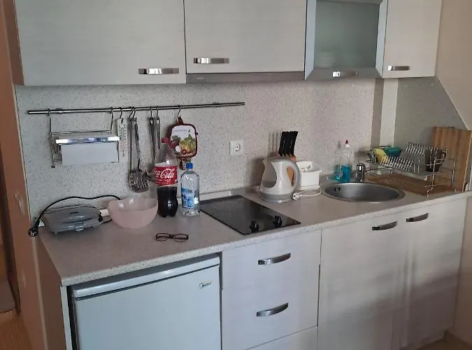 Sunny Plaza Apartment